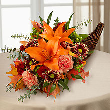Cornucopia Garden