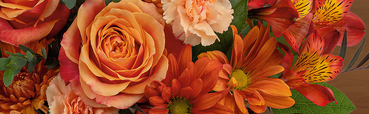 Thanksgiving Flowers & Gifts[Pickup & Delivery Available]