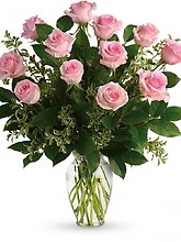 Perfect Pink Dozen