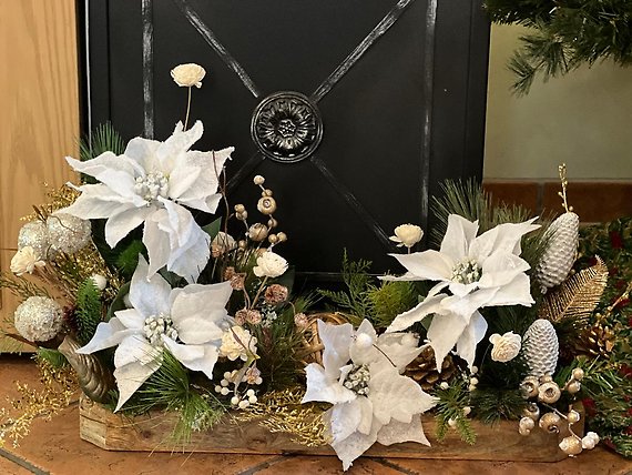 Snowy Poinsettia